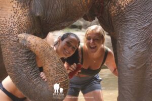 Spaß beim Baden mit Elefanten